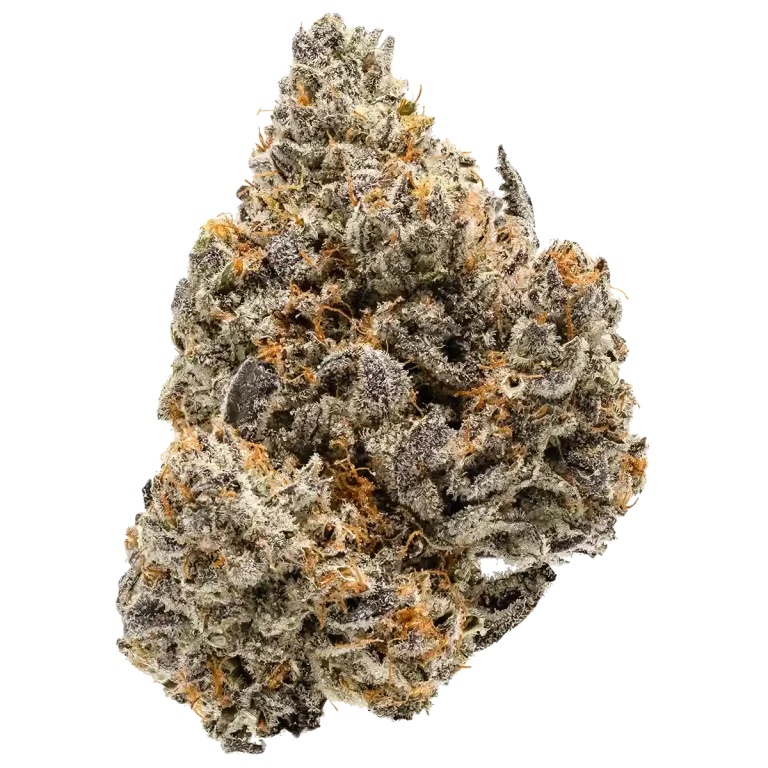 Cookies Cannabis Dispensary Strains Hybrid