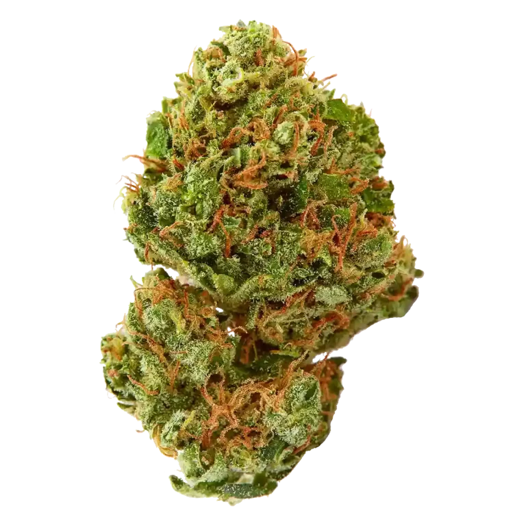 Cookies Cannabis Dispensary Strains Sativa